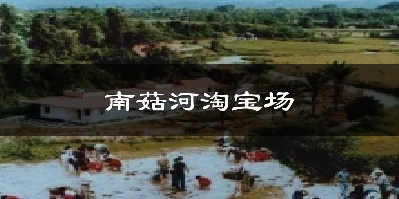 南菇河淘宝场气温