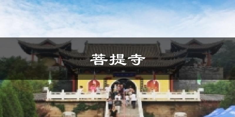 菩提寺气温