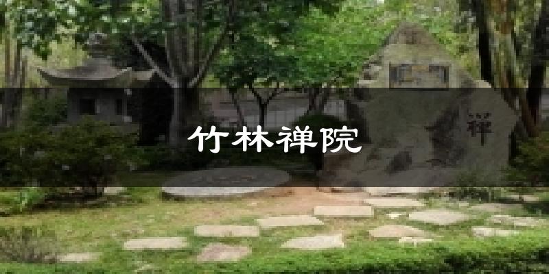 竹林禅院天气预报十五天
